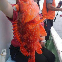 遊漁船 新鋭丸 釣果