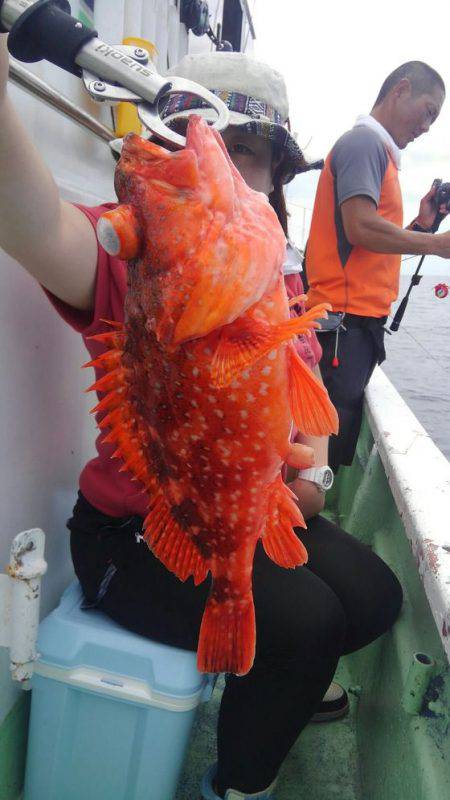 遊漁船 新鋭丸 釣果