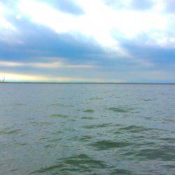 晩夏の五目釣り