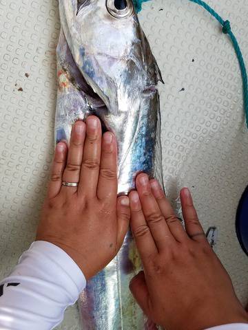 遊漁船　ニライカナイ 釣果