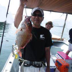 遊漁船 幸友丸 釣果