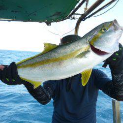 真祐丸 (しんゆうまる) 釣果