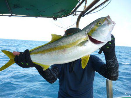 真祐丸 (しんゆうまる) 釣果