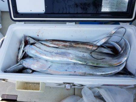 遊漁船　ニライカナイ 釣果