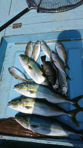 龍幸丸 釣果