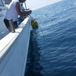 第五慶門丸 釣果