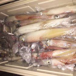 幸風（さちかぜ） 釣果