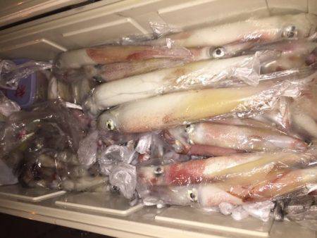 幸風（さちかぜ） 釣果