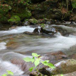 小菅トラウトガーデン 釣果
