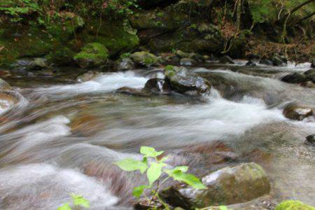 小菅トラウトガーデン 釣果