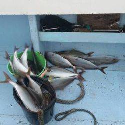 第五慶門丸 釣果