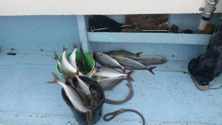 第五慶門丸 釣果