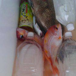 遊漁船 新鋭丸 釣果