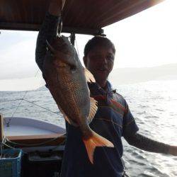 遊漁船 幸友丸 釣果