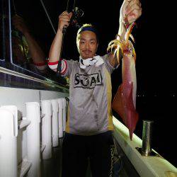 オーシャンズ　京都 釣果