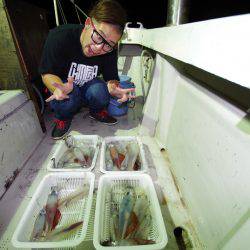 オーシャンズ　京都 釣果