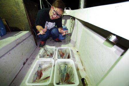 オーシャンズ　京都 釣果