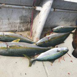 寿裕 （YOSHIHIRO） 釣果