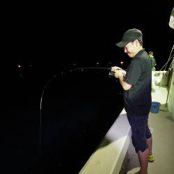 オーシャンズ　京都 釣果