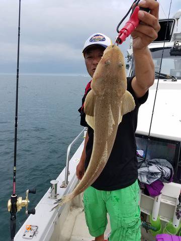 遊漁船　ニライカナイ 釣果