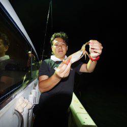 オーシャンズ　京都 釣果