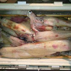 寿裕 （YOSHIHIRO） 釣果