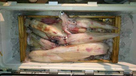 寿裕 （YOSHIHIRO） 釣果