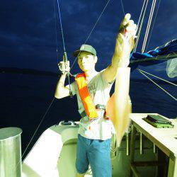 オーシャンズ　京都 釣果