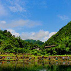 小菅トラウトガーデン 釣果