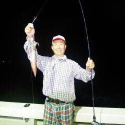 オーシャンズ　京都 釣果