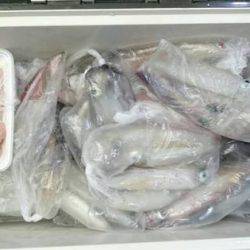 寿裕 （YOSHIHIRO） 釣果