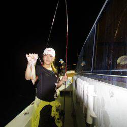 オーシャンズ　京都 釣果