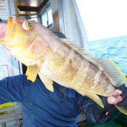 真祐丸 (しんゆうまる) 釣果