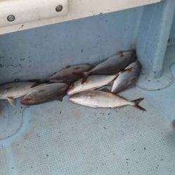 第五慶門丸 釣果