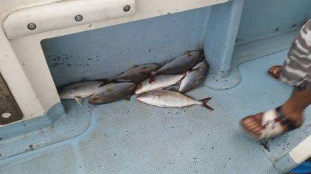 第五慶門丸 釣果