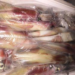 幸風（さちかぜ） 釣果