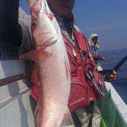 遊漁船 新鋭丸 釣果
