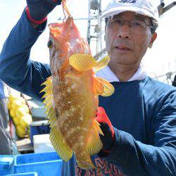 宝生丸 釣果