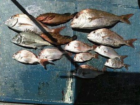 フィッシングガイド りょう 釣果