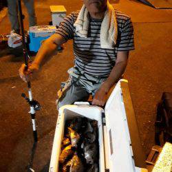 釣り船くわだ 釣果