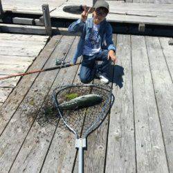 由良海上釣り堀 海人 釣果