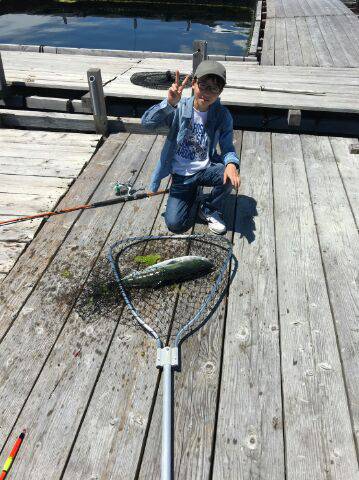 由良海上釣り堀 海人 釣果