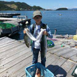 由良海上釣り堀 海人 釣果