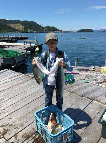 由良海上釣り堀 海人 釣果