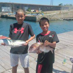 由良海上釣り堀 海人 釣果