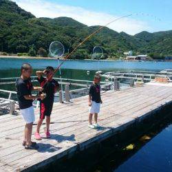 由良海上釣り堀 海人 釣果