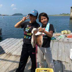 由良海上釣り堀 海人 釣果