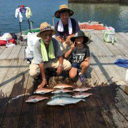 由良海上釣り堀 海人 釣果