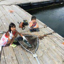 由良海上釣り堀 海人 釣果