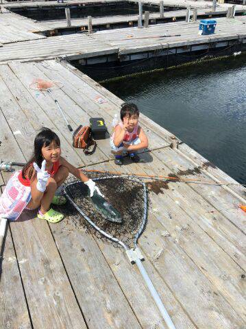 由良海上釣り堀 海人 釣果